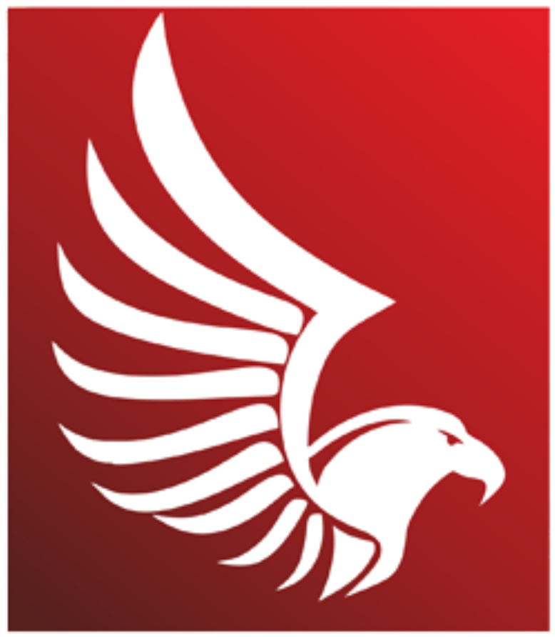 DNZ Resources Logo
